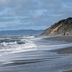 Redwood National and State Parks - Crescent City