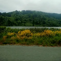 Smith River National Recreation Area - Crescent City
