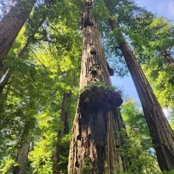 Smith River National Recreation Area - Crescent City