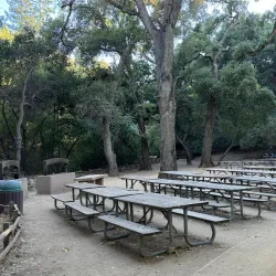 Blackberry Farm - Cupertino