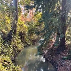 Blackberry Farm - Cupertino