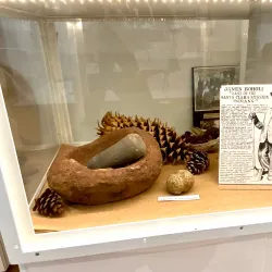 Cupertino Historical Society and Museum - Cupertino