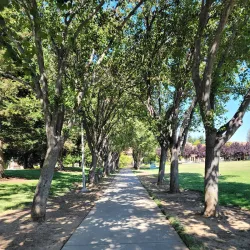 Cupertino Memorial Park - Cupertino