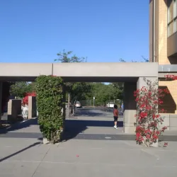 Library at Cupertino - Cupertino