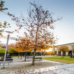 Library at Cupertino - Cupertino
