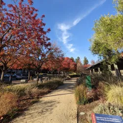 Library at Cupertino - Cupertino