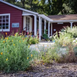 McClellan Ranch Preserve - Cupertino