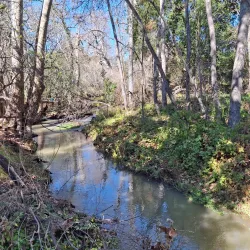 McClellan Ranch Preserve - Cupertino