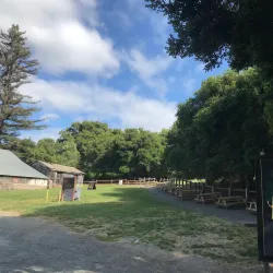 Picchetti Ranch Open Space Preserve - Cupertino