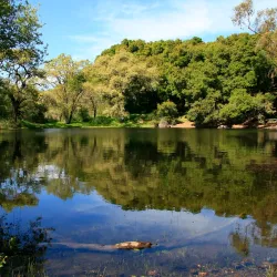 Picchetti Ranch Open Space Preserve - Cupertino