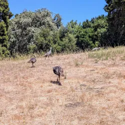 Rancho San Antonio Open Space Preserve - Cupertino