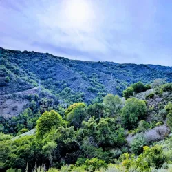Rancho San Antonio Open Space Preserve - Cupertino