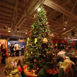 Cow Palace - Daly City