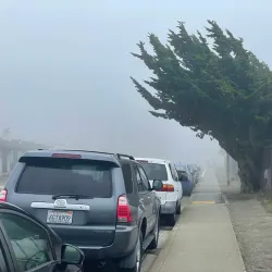 Jefferson Elementary School Murals - Daly City