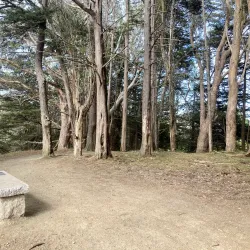 John McLaren Park - Daly City