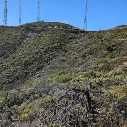 San Bruno Mountain State Park - Daly City