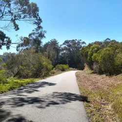 San Bruno Mountain State Park - Daly City