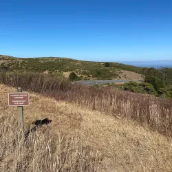 San Bruno Mountain State Park - Daly City