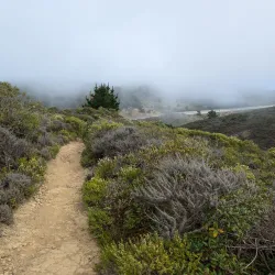 San Bruno Mountain State Park - Daly City