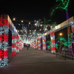 Dana Point Harbor - Dana Point
