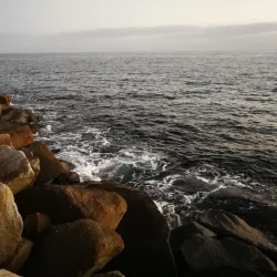 Dana Point Harbor - Dana Point