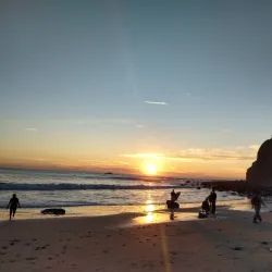 Dana Point Harbor - Dana Point