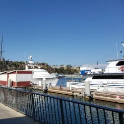 Dana Point Harbor - Dana Point
