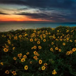 Dana Point Headlands Conservation Area - Dana Point