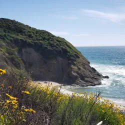 Dana Point Headlands Conservation Area - Dana Point