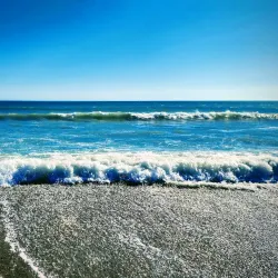 Doheny State Beach - Dana Point