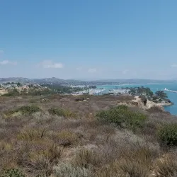 Harbor Point Park - Dana Point