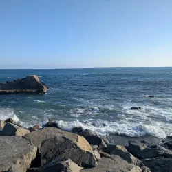 Harbor Point Park - Dana Point