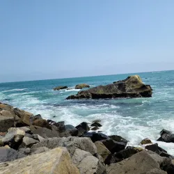 Ocean Institute - Dana Point