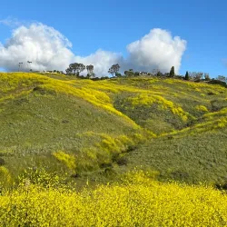 Salt Creek Trail - Dana Point