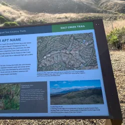 Salt Creek Trail - Dana Point