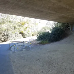 Salt Creek Trail - Dana Point