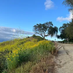 Salt Creek Trail - Dana Point