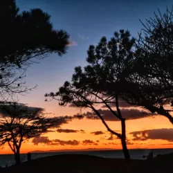 Salt Creek Trail - Dana Point