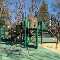 Central Park - Davis