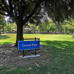 Central Park - Davis