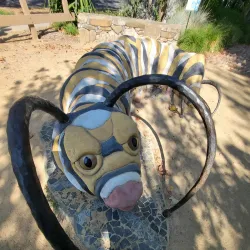 Central Park - Davis