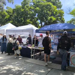 Central Park - Davis