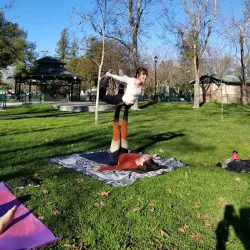 Central Park - Davis