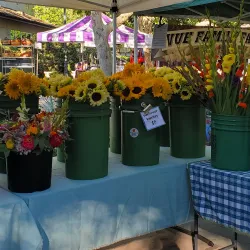 Davis Farmers Market - Davis