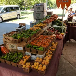 Davis Farmers Market - Davis