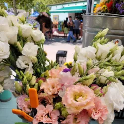 Davis Farmers Market - Davis