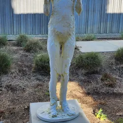 Manetti Shrem Museum of Art - Davis