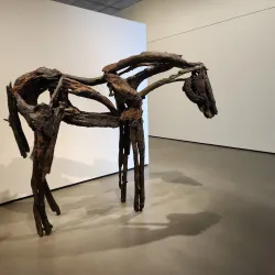 Manetti Shrem Museum of Art - Davis