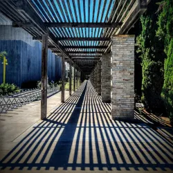 Manetti Shrem Museum of Art - Davis