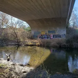Putah Creek Riparian Reserve - Davis